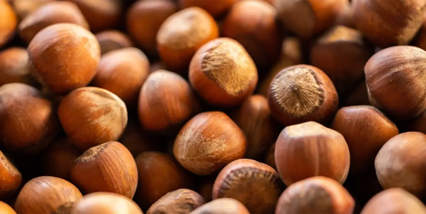 Huile de noisette et noisettes