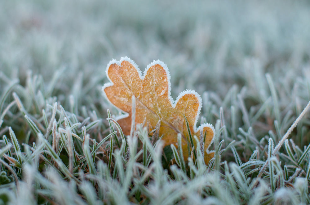 Routine peau sèche en hiver
