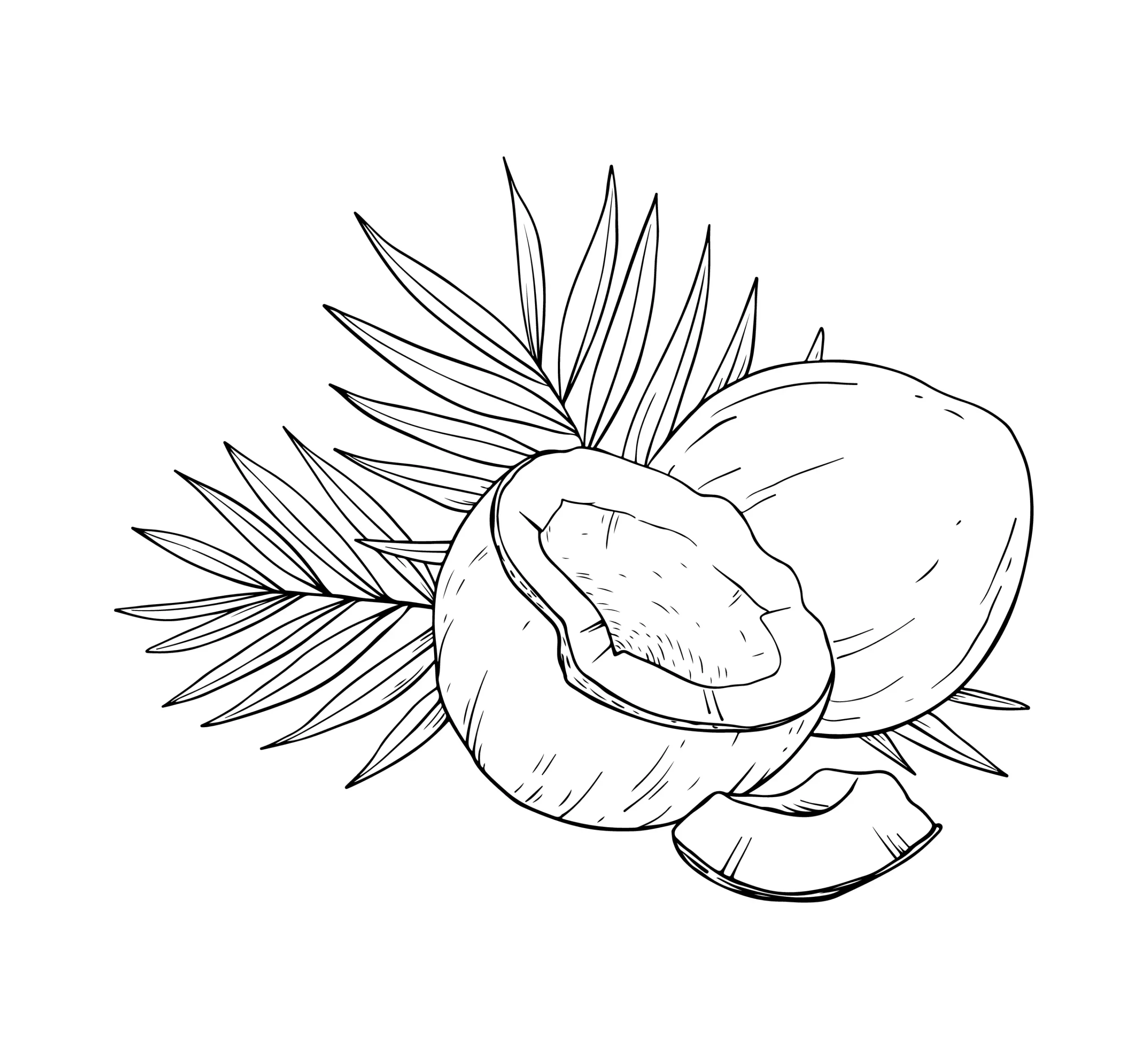 Noix de coco